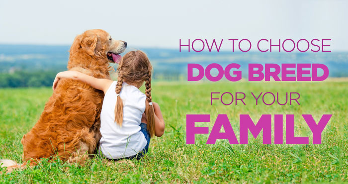 How to Choose The Right Dog Breed for Your Family