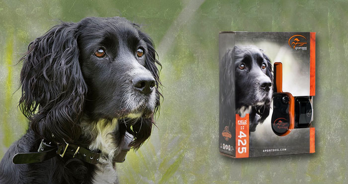 SportDOG Field Trainer SD-425 Training Collar Review: For Stubborn Dogs
